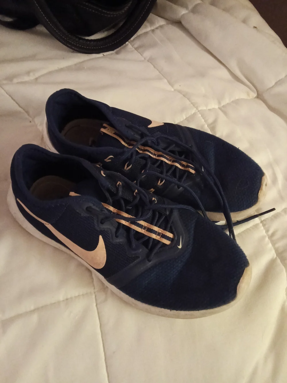 Nike Women's Navy and Light Pink Running Shoes